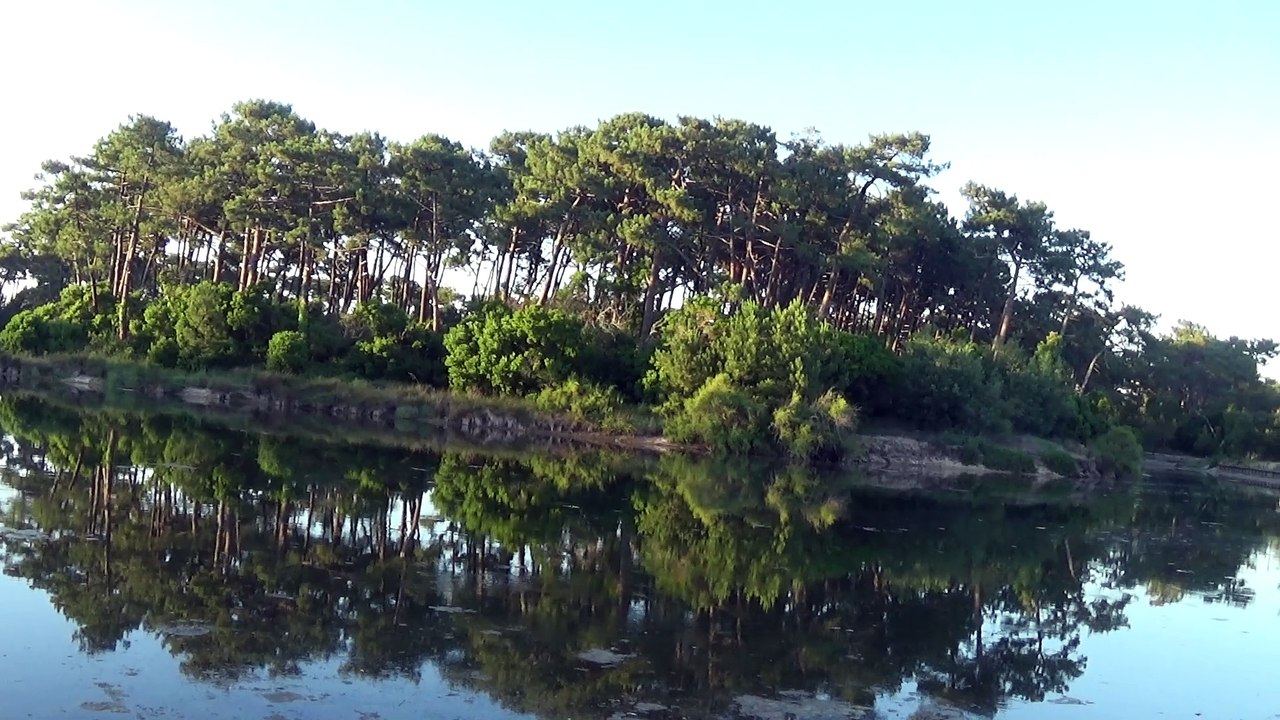 La réserve de Piraillan