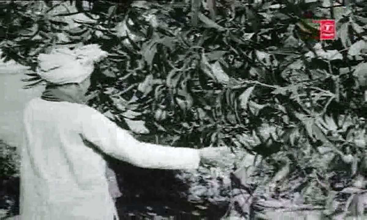 'TUMHI HO MATA PITA TUMHI'BY LATA MANGESHKER,M-CHITRAGUPTA-'MAIN CHUP RAHUNGI-1962'