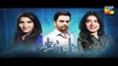 Dil E Beqarar Episode 12 Promo HUM TV Drama 22 June 2016