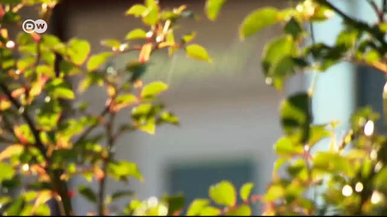 Zu Besuch in einer Luxusimmobilie auf Sylt | Euromaxx