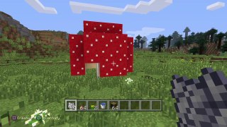 Minecraft: PlayStation®4 Edition House Tutorial