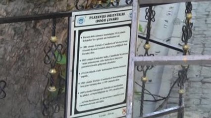 Ağaç Tepesinde Basın Açıklaması