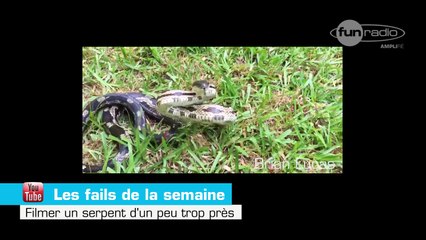 Zapping : les grands fails de la semaine