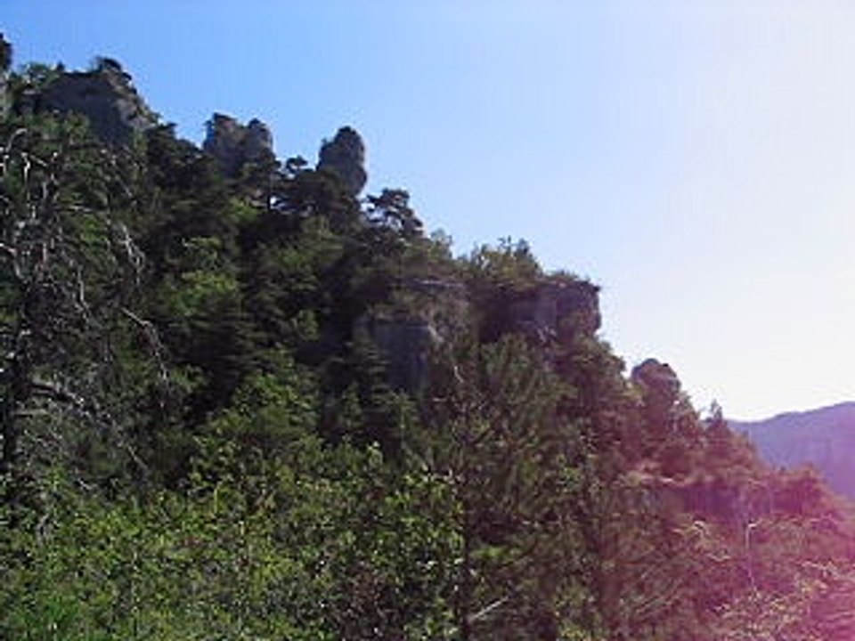 cigales
