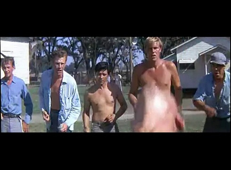 Cool Hand Luke?