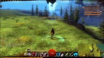 Guild wars 2 - How to level up fast levels 25-31
