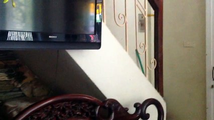 Minecraft Thành Nhân 14th Anniversary: Tham quan các phòng có dính dán