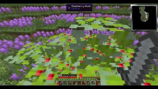 Minecraft: Super Mundo #2- Ideas para construções(attack of the-b team)  [1080p]