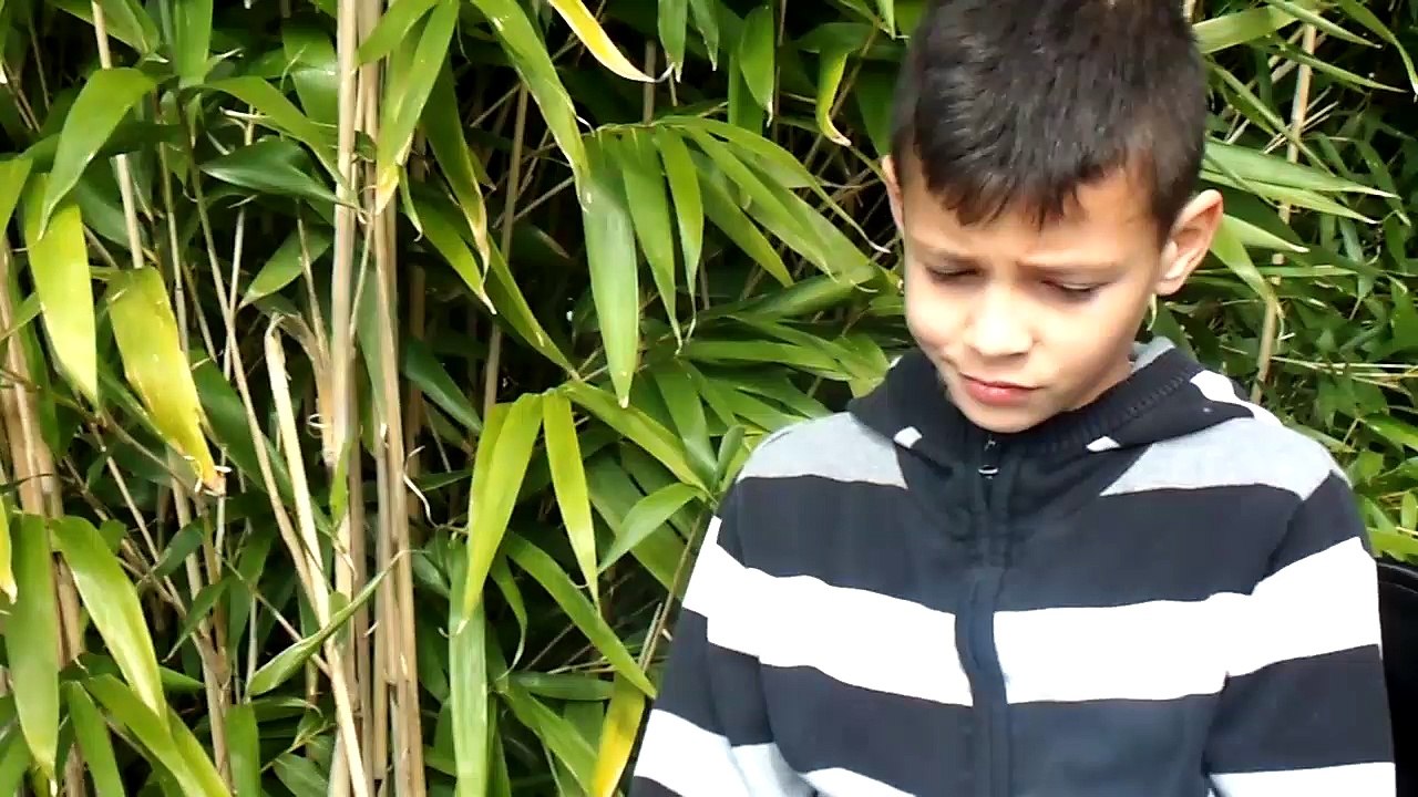 Interview Jardin de Sybille