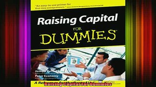 READ book  Raising Capital For Dummies Full Free