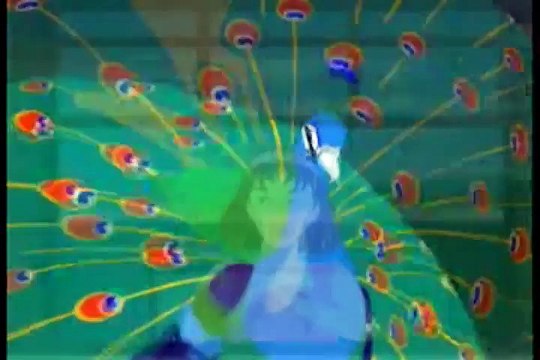 Kale badal karte shoor dekho nach raha hai moor