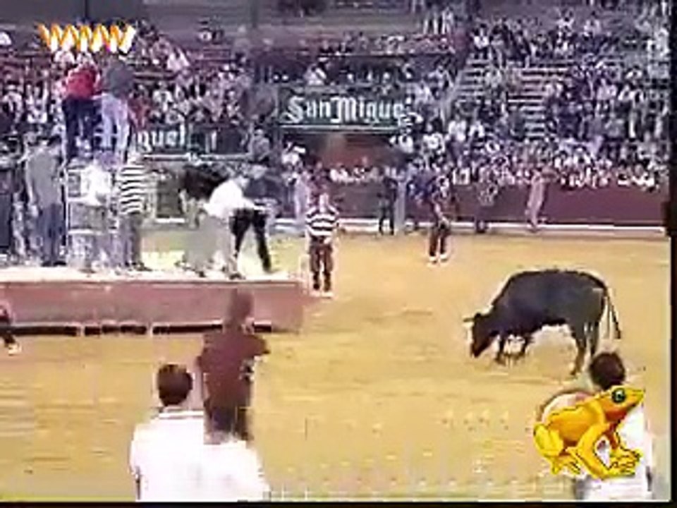 funny pant off by bull in front of people must watch
