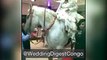 Congolese bride makes grand reception into her wedding on a horse