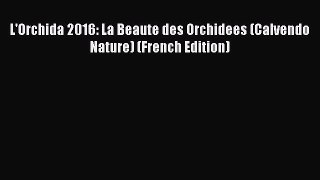 Download L'Orchida 2016: La Beaute des Orchidees (Calvendo Nature) (French Edition) Ebook Online