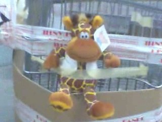 Les préparatifs du vol du caddie