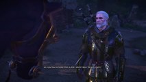 The Witcher 3: Wild Hunt - Talking to Roach