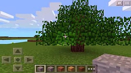 Minecraft 5 glitches