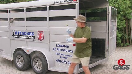 Explosive Elephant Prank