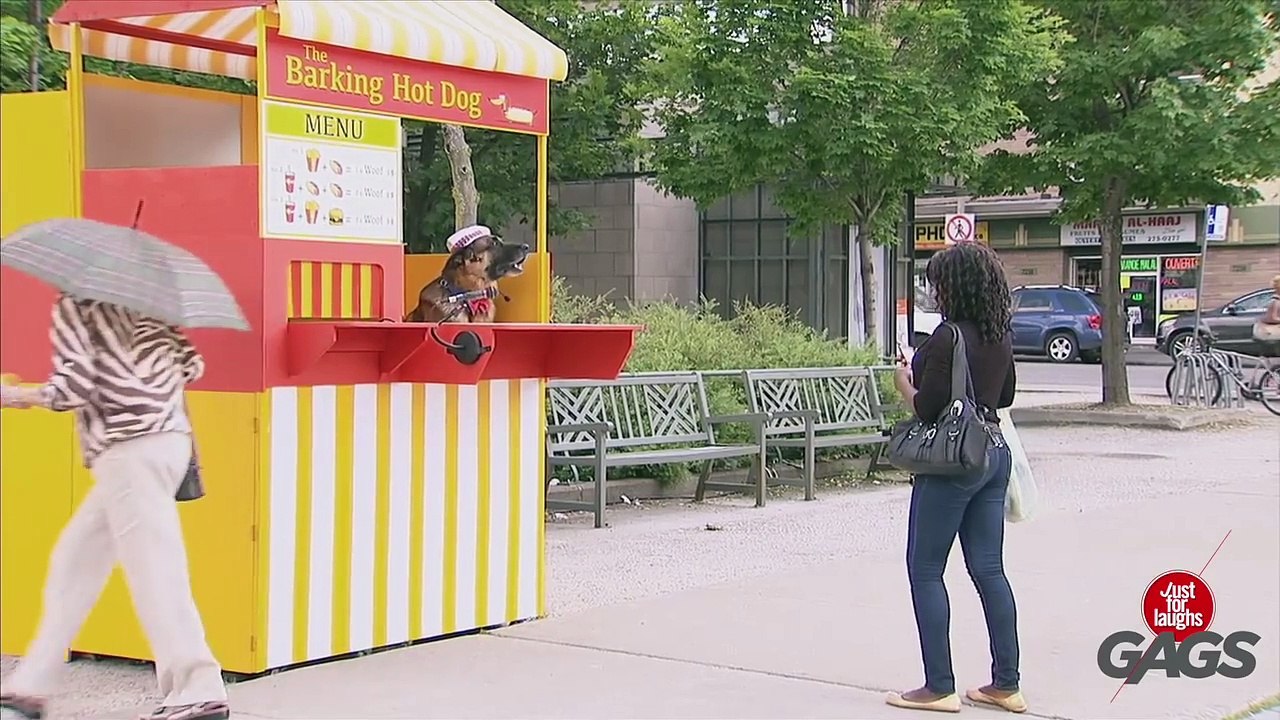 Dog Sells Hot Dogs