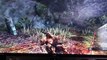 Dark Souls 2 How to farm Human Effigy (Bonfire Ascetic required)