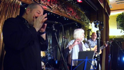 Hylda Sims - Blues Medicine