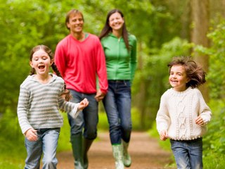 Clear Stress: 3 Steps to Go Forest Bathing