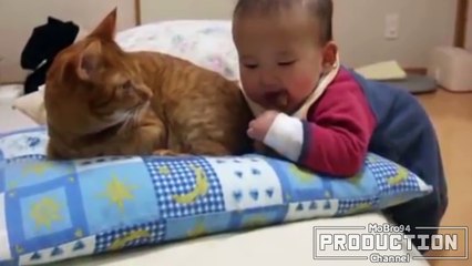 Babies annoying cats – Funny baby & cat compilation