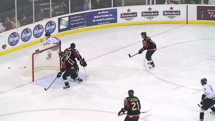2010-12-29 SAVES Mike Brown (WHL)