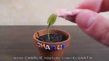 View Caution! Tried Kuwase the bubble gum to carnivorous plants