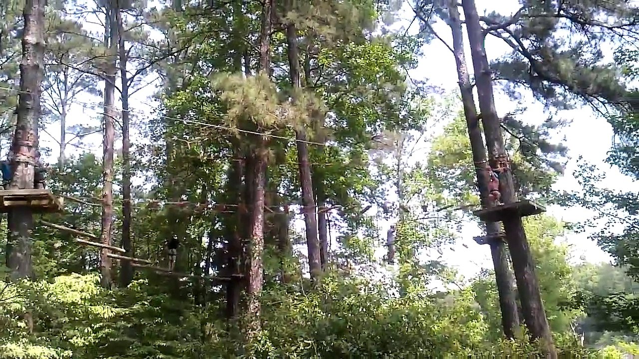 Iris Zip Lining 3 at Callaway Garden on 5/26/2014