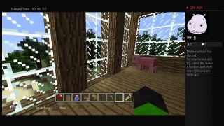 Minecraft mansion house tour