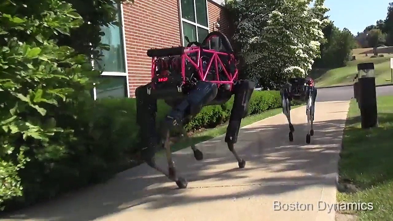 Un robot dingue