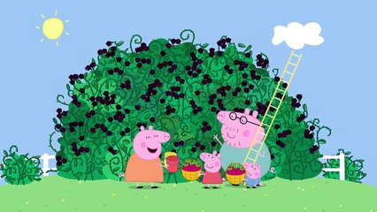 Peppa Pig Momia de Cerdo En El Blackberry Bush clip