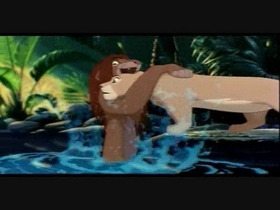 Timon, Pumba, Simba et Nala (le Roi Lion)