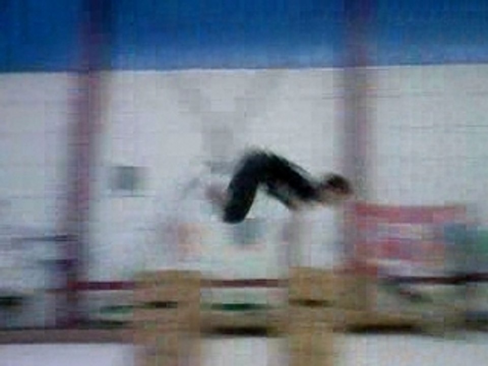 Saut de chat