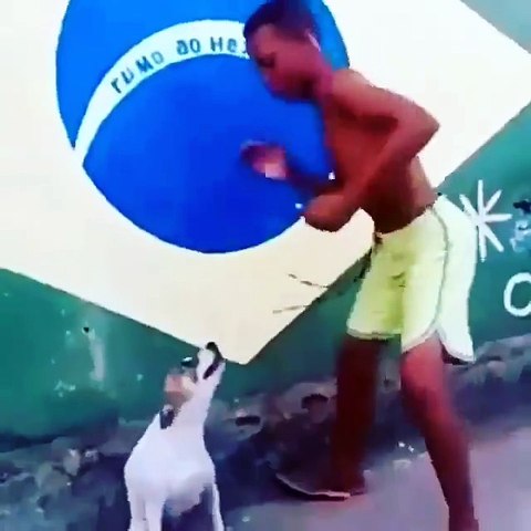 How to let a dog dance