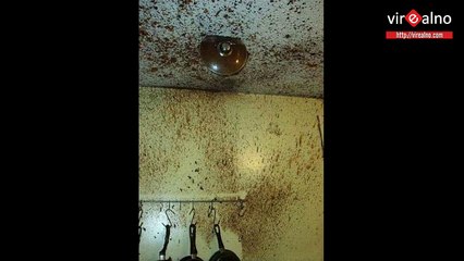 WORST DAY EVER! It's HILARIOUS!!!