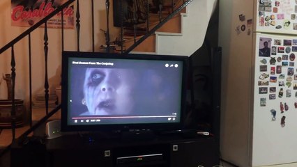 Réactions d'un chien devant le film d'horreur The Conjuring