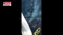 بالفيديو..تداول فيديو لشباب مصريين يصطادون سمكة قرش