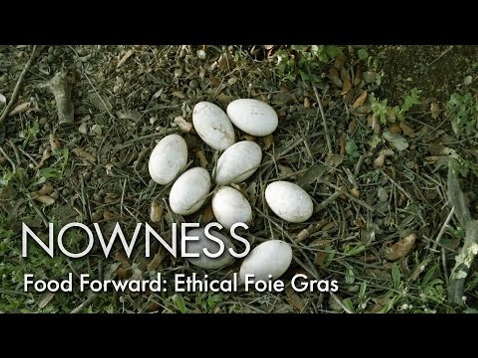 Cruelty free Foie Gras?