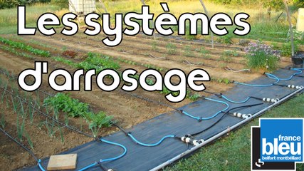 Les Experts jardin mettent au point le système d'arrosage...