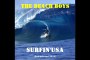 The Beach Boys, "Surfin' USA"