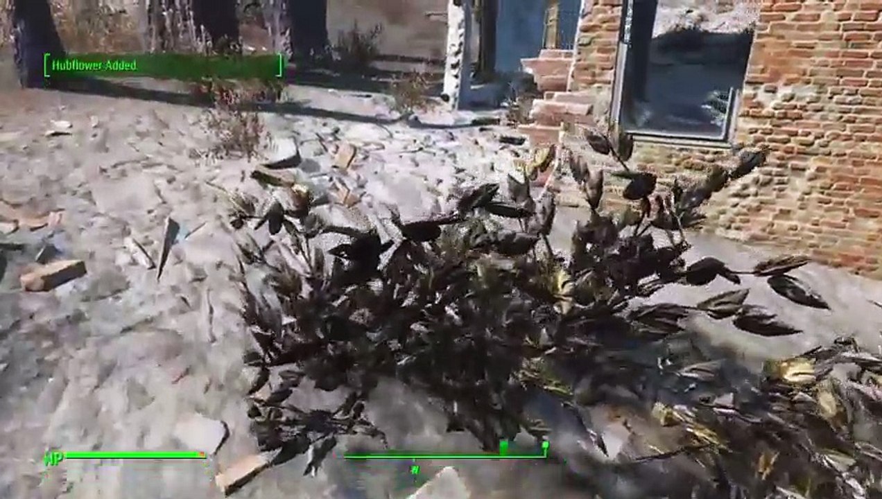Fallout 24/7 (24)