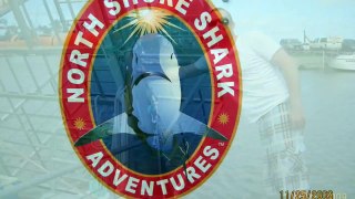 North Shore Shark Dive 11/25/09