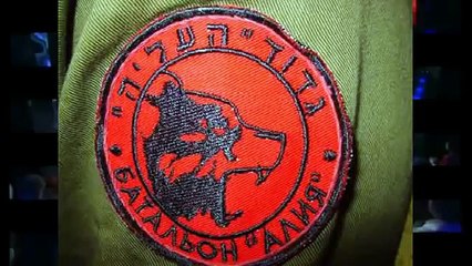 Израильский батальон спецназа Алия готов помочь Донбассу 29   04   2014