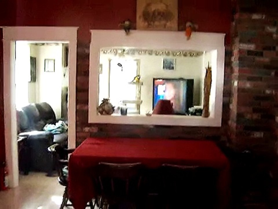 kilo flying @ 25 feet