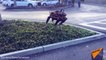Un chien rencontre le chien robot de Boston Dynamics