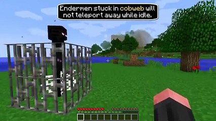 Minecraft  10 Things You Didn't Know About the Enderman