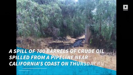 California oil pipeline leak contained before reaching beach