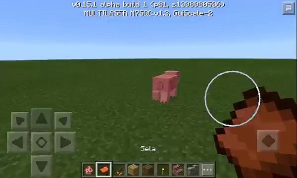 Como montar num porco no minecraft pe 0.15.0(SEM MODS)